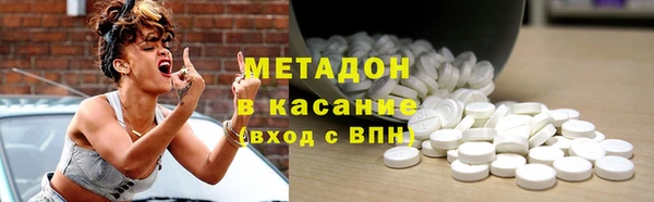 прущие грибы Михайлов