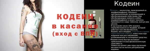 прущие грибы Михайлов