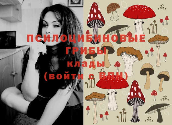 прущие грибы Михайлов