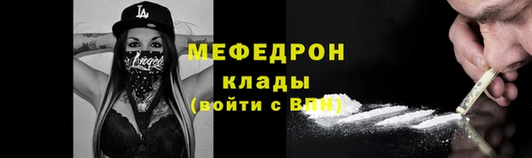прущие грибы Михайлов