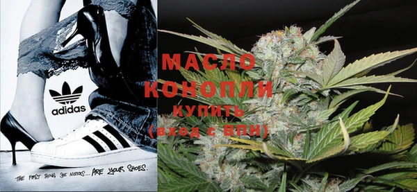 крисы Михайловск