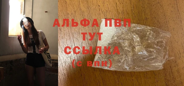 прущие грибы Михайлов