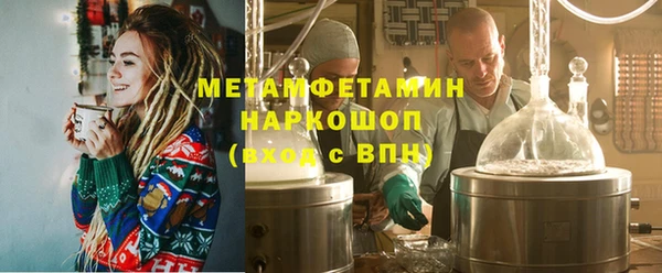 прущие грибы Михайлов