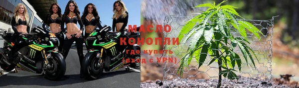 прущие грибы Михайлов
