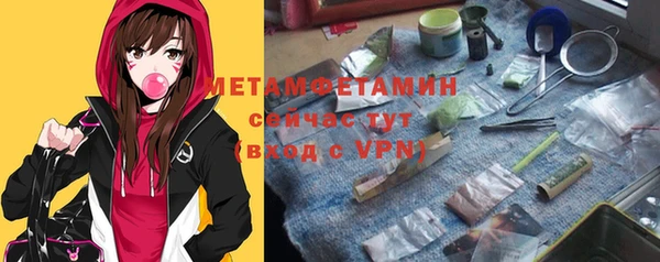 прущие грибы Михайлов