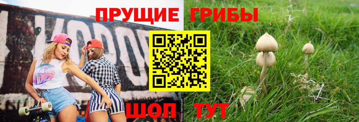 Псилоцибиновые грибы Magic Shrooms  Дивногорск  Галлюциногенные грибы MAGIC MUSHROOMS 