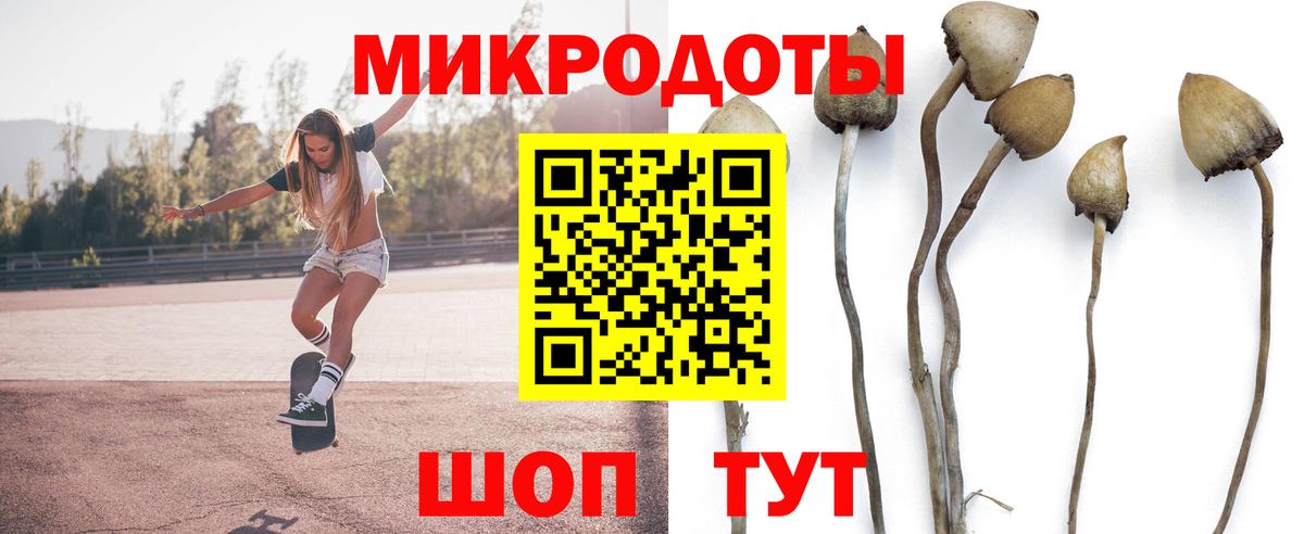 Галлюциногенные грибы Cubensis Дивногорск